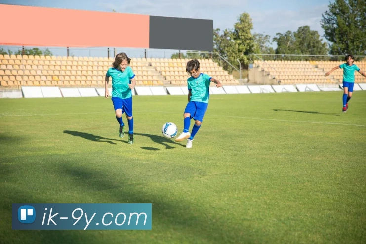 九游官网APP 封面图